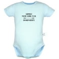 thumbnail image 1 of PARTY! MY CRIB 2AM B.Y.O.B. Funny Rompers For Babies, Newborn Baby Unisex Bodysuits, Infant Jumpsuits, Toddler 0-24 Months Kids One-Piece Oufits (Blue, 18-24 Months), 1 of 4