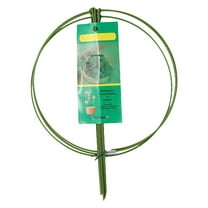 PASILI Rows Tomato Peony Cages Women'S Accessories Cages Cone Flowers Monsteras