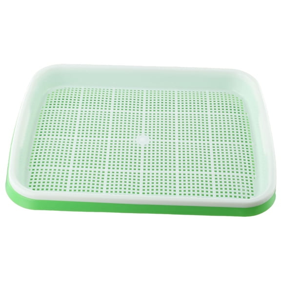 PASILI Sprouting Tray Double Layer Pea Mung Bean Peanut Sprout Plate Sprouter Cat Grass Soilless Planting Pot