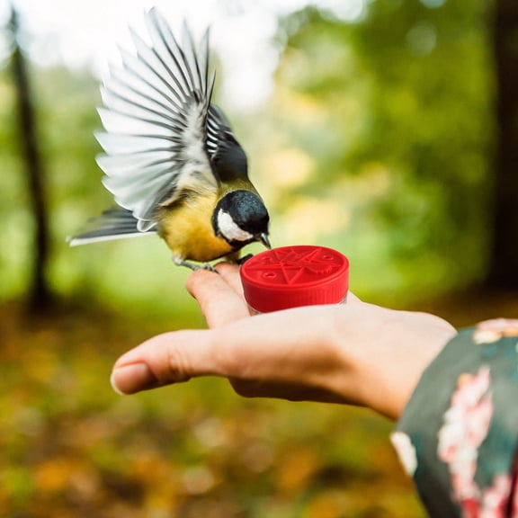 PATLOLLAV 1 Pcs Handheld Hummingbird Feeder Plastic Hummingbird Feeder with 3 Feeding Ports Mini Hand Feeding Tools for Outdoor Supplies