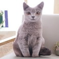 thumbnail image 1 of PATLOLLAV Cat Throw Pillow Plushie 3D Simulation Cat Plush Stuffed Animal Cushion Pillow Toy for Kids, Sofa Chair Home Decor, 1 of 6