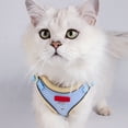thumbnail image 1 of PATLOLLAV Cat Vest Harness and Small Dog Vest Harness for Walking, All Weather Mesh Harness, Cat Vest Harness, Step in Adjustable Harness for Small Cats Dogs, 1 of 6