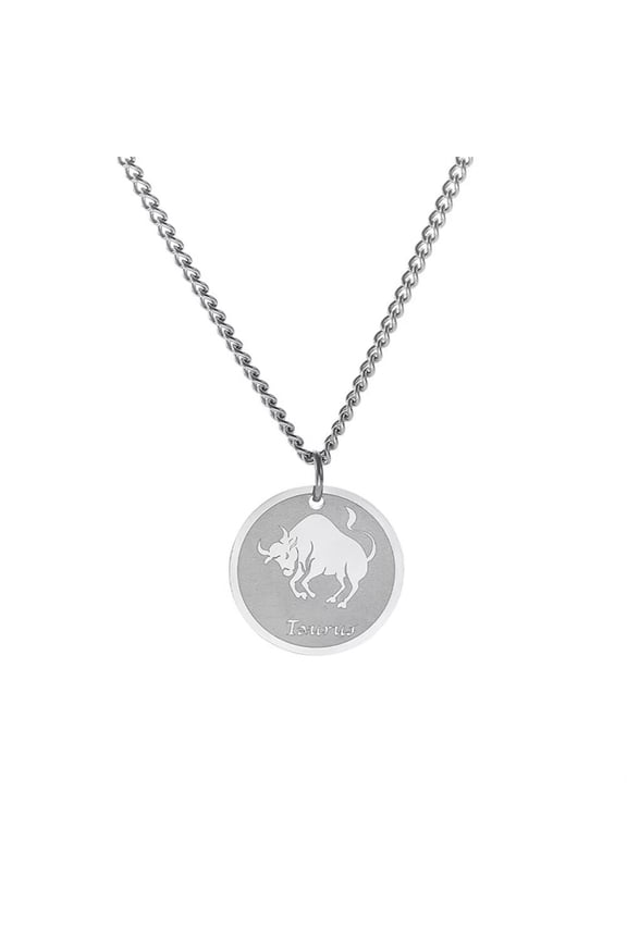 Men's Stainless Steel Zodiac Constellation Round Coin Pendant Charm Astrology Amulet Necklace Taurus