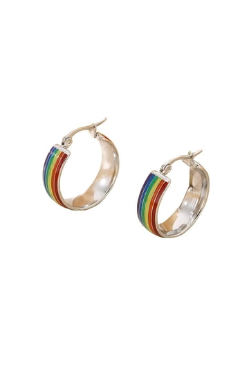 20mm 25mm Chunky Earring Hoops, Hypoallergenic PVD Stainless Steel Hoop Earrings