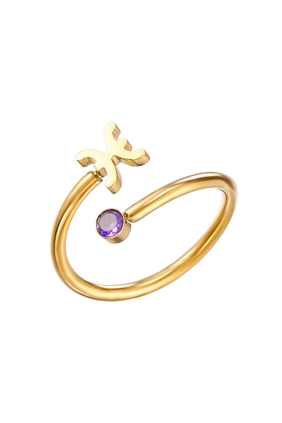 Women's Stainless Steel Zodiac Sign Ring with Zirconia Adjutable Birthstone Jewelry Pisces