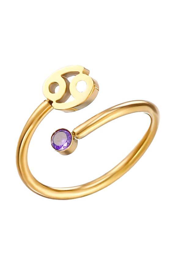 Zodiac Constellation Rings for Women Sign Cute Open Adjustable Cubic Zirconia Horoscope Stainless Steel Personalized Statement Sagittarius Jewelry Cancer