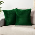 thumbnail image 1 of PAVILIA Emerald Green Throw Pillow Covers 20x20 Set of 2, Decorative Pillow Cases for Bed Sofa Couch, Boho Aesthetic Accent Decor Cushion Bedroom Living Room, Velvet Square Euro Sham Cover, Dark Green, 1 of 8