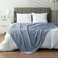 thumbnail image 1 of PAVILIA Fleece Throw Blanket for Couch with Pom Pom Fringe, Light Blue Dusty, Soft Cozy Fuzzy Flannel Blanket for Sofa Bed, Large Lightweight Plush All Season Throw, 60x80 Inches, 1 of 9
