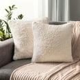 thumbnail image 1 of PAVILIA Fluffy Cream Ivory Throw Pillow Covers, Decorative Accent Pillow Cases for Bed Sofa Couch, Soft Faux Fur Cushion Cover, Square Sherpa Pillowcases, Home Room Decor, Beige, 18x18 Set of 2, 1 of 8