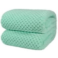 thumbnail image 1 of PAVILIA Mint Green Throw Blanket for Couch, Twin Bed, Soft Fleece Throws for Sofa Chair, Fuzzy Waffle Textured Blanket, Cozy Warm Lightweight All Season Blanket Throw, 60x80, 1 of 8