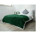 thumbnail image 1 of PAVILIA Plush Sherpa Fleece Blanket Throw, Twin, Emerald Green | Soft, Warm, Fuzzy Dark Forest Throw for Couch Sofa | Solid Reversible Cozy Microfiber Fluffy Blanket, 60x80, 1 of 7