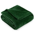 thumbnail image 1 of PAVILIA Soft Fleece Forest Green Throw Blanket for Couch, Lightweight Plush Warm Blankets for Bed, Fuzzy Cozy Flannel Blanket Throw for Sofa, Travel, Jacquard Pattern, Emerald Green, Twin, 60x80 inch, 1 of 8