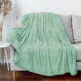 thumbnail image 1 of PAVILIA Soft Fleece Light Green Throw Blanket for Couch, Lightweight Plush Warm Blankets for Bed, Fuzzy Cozy Flannel Blanket Throw for Sofa, Travel, Jacquard Pattern, Mint Green, 50x60 inch, 1 of 8