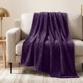 thumbnail image 1 of PAVILIA Soft Lightweight Fleece Throw Blanket for Couch Sofa, Purple, 50x60, 1 of 9