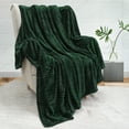 thumbnail image 1 of PAVILIA Super Soft Fleece Throw Blanket Emerald Green, Luxury Fuzzy Plush Flannel Throw, Warm Cozy Ribbed Microfiber Blanket for Sofa Couch Bed, Lightweight Striped Blanket, Green, 50x60, 1 of 9