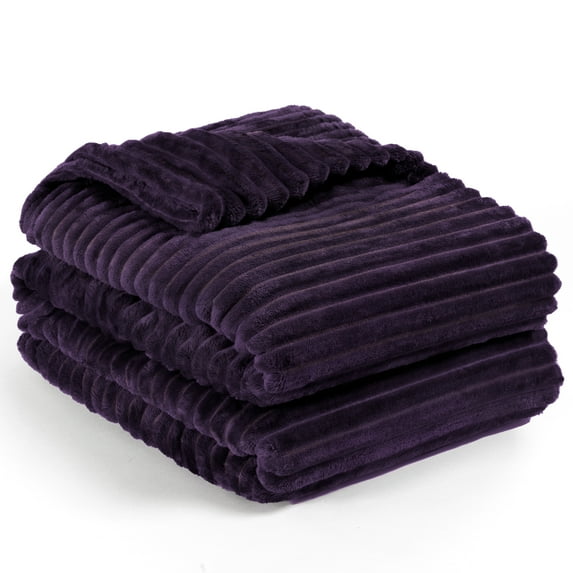 PAVILIA Super Soft Fleece Throw Blanket Twin Purple Eggplant, Fuzzy Plush Flannel Throw, Warm Cozy Ribbed Microfiber Blanket for Sofa Couch Bed, Lightweight Striped Blanket, Purple, 60x80