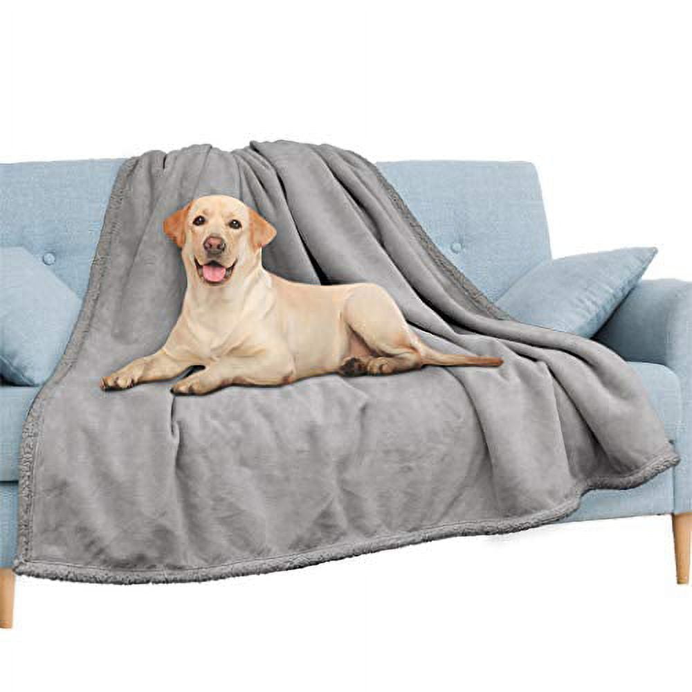 PAVILIA WATERPROOF Blanket For Couch, Sofa | Waterproof Dog Blanket for Large Dog, Puppy, Cat | Pet Blanket Protector | Plush Soft Warm Fuzzy Sherpa Blanket Bed Throw, Light Grey, 90x90