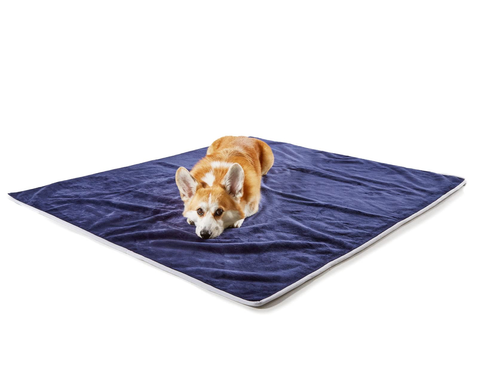 PAW Dog Blanket Waterproof Throw Blanket for Pets 60L X 50W inches