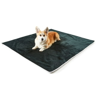 Dog Blankets in Dog Beds Walmart