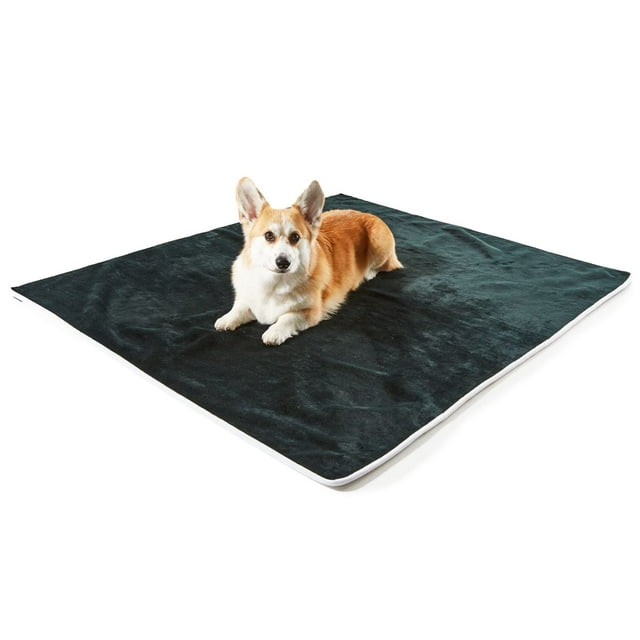 PAW Dog Blanket Waterproof Throw Blanket for Pets 60L X 50W inches