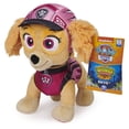 thumbnail image 1 of PAW Patrol, Dino Rescue Skye, Stuffed Animal Plush Toy, 8 inch, 1 of 4