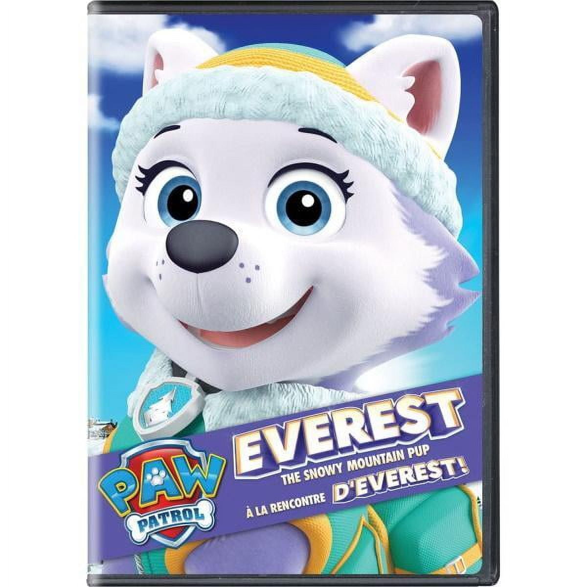 Meet Everest Paw Patrol Printables (on DvD this summer)