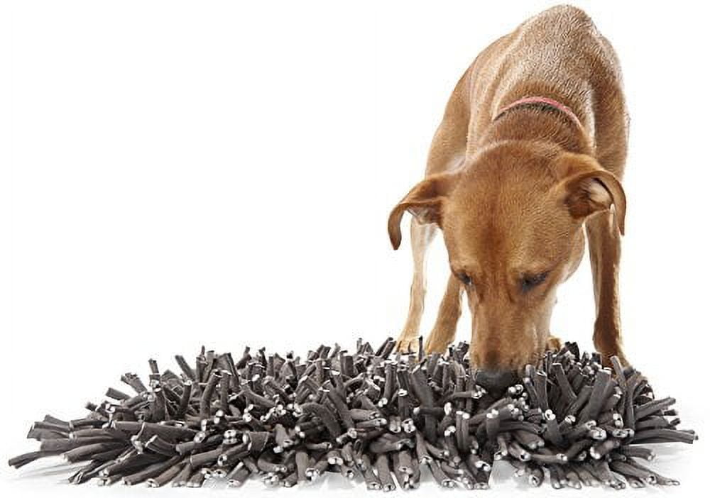 Make a Snuffle Mat for Your Dog - FOUR PAWS International - Animal Welfare  Organisation