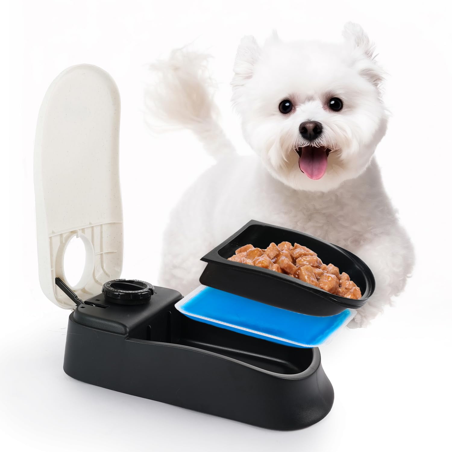PAWISE Automatic Pet Feeder, Auto Dog Dry Food Dispenser with Timer for