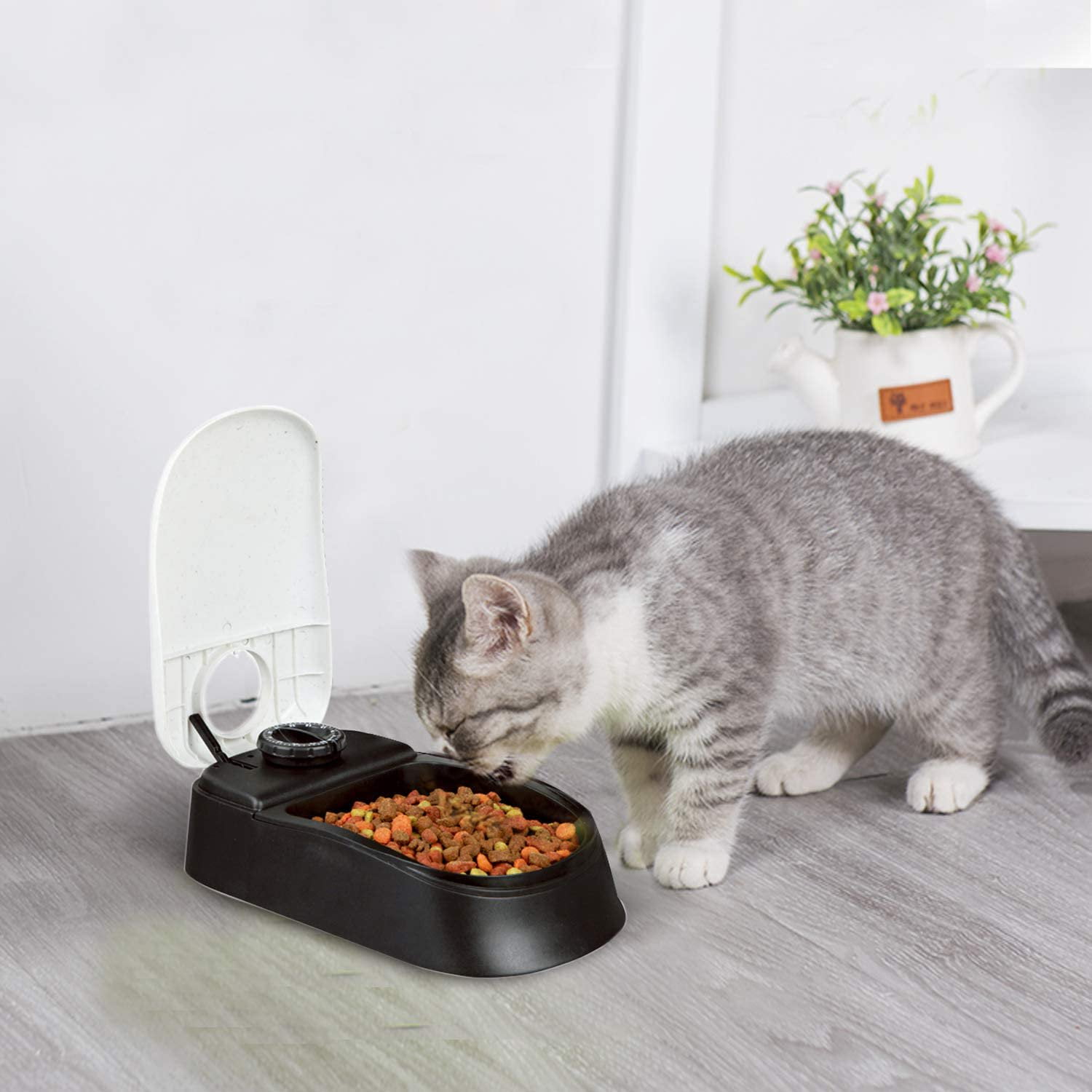 PAWISE Automatic Pet Feeder for Cats and Dogs Food Dispenser with