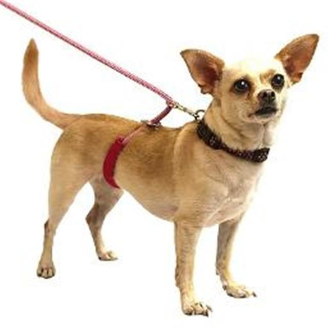 PAWS Aboard 3511 Monster Walker Pink/White Mini