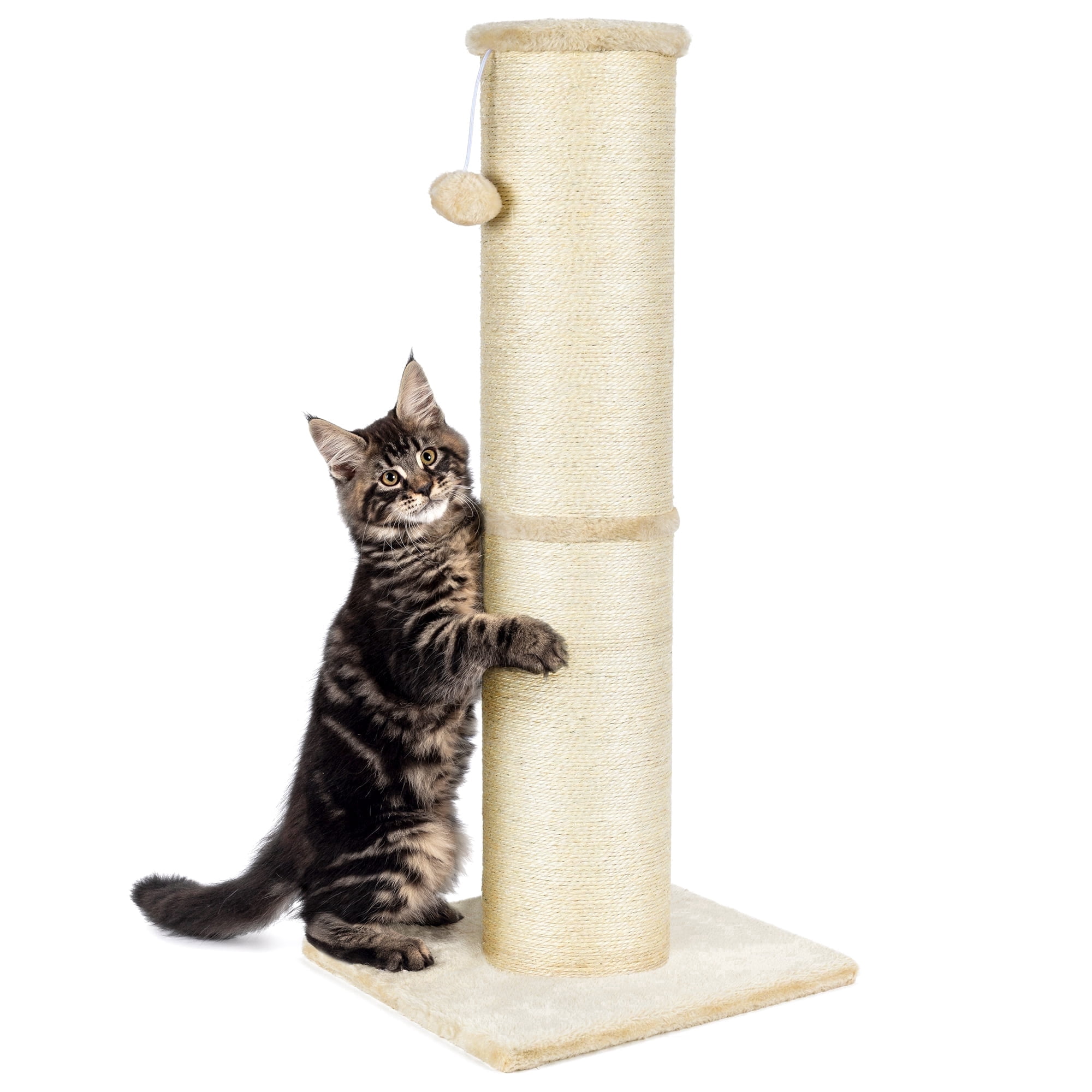 PAWSCRAT Cat Scratching Post 32 Inch High, 5.5 Inch Large Diameter Natural Sisal Cat Scratch Post,Protect Your Furniture, Scratch-Resistant and Durable Tall Cat Scratcher for Indoor Cats, Beige