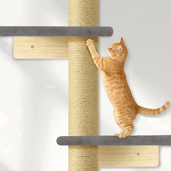 PAWSCRAT Cat Wall Shelves, 5 Tier Floor to Ceiling Cats Tower Cat Tree, 80 inch Wall-Mounted Cat Scratching Post, Grey