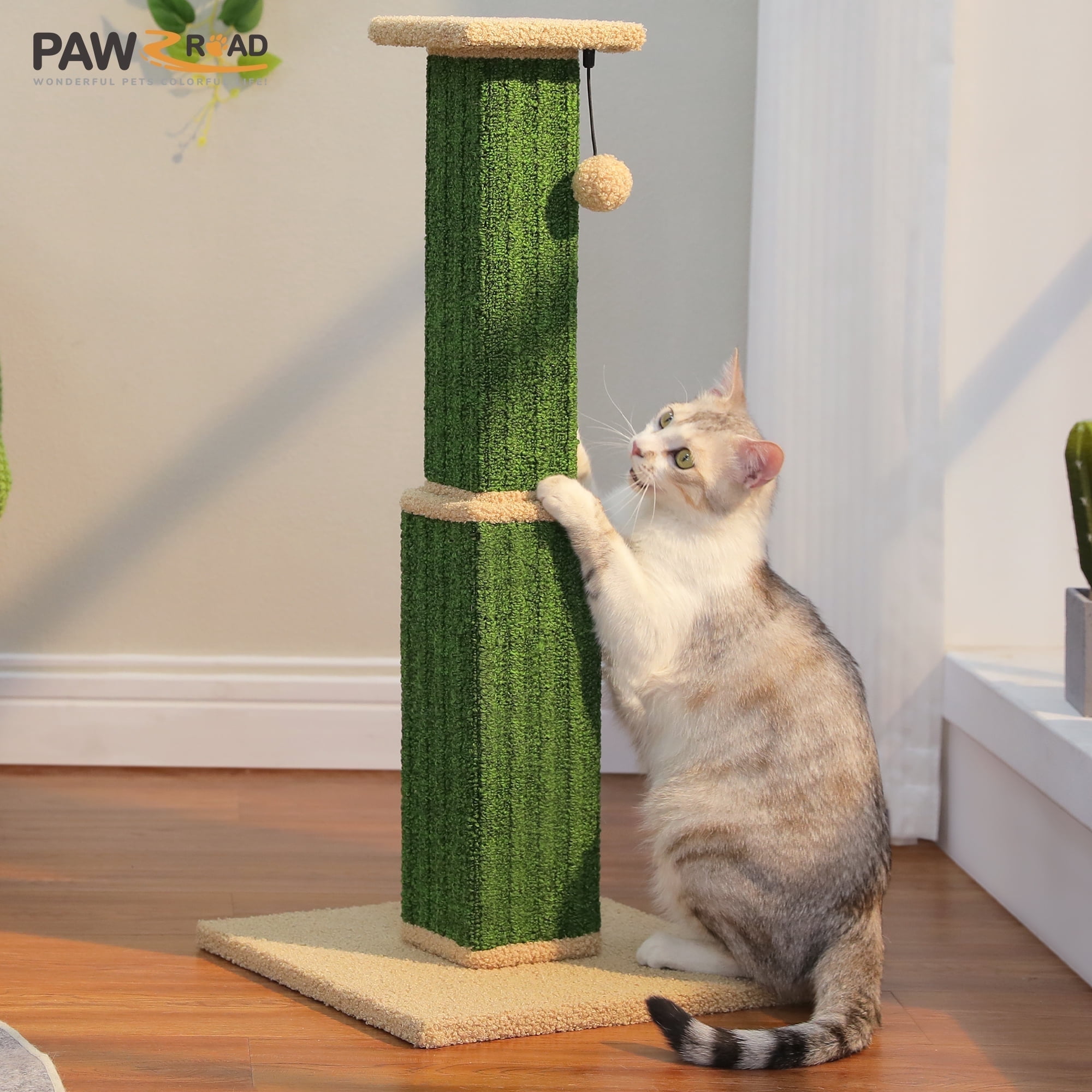 PAWZ Road 31