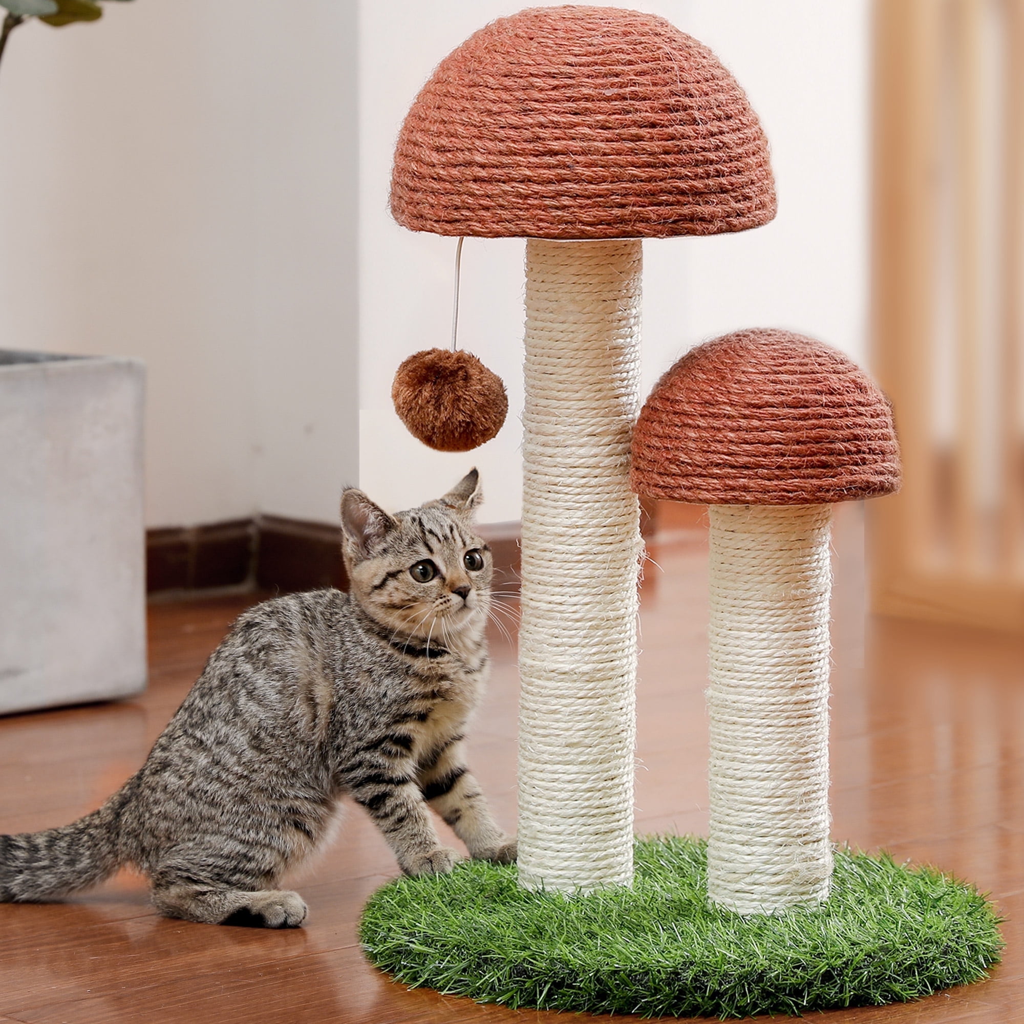 Cat Scratchers in Cats - Walmart.com Cat Scratchers in Cats - Walmart.com