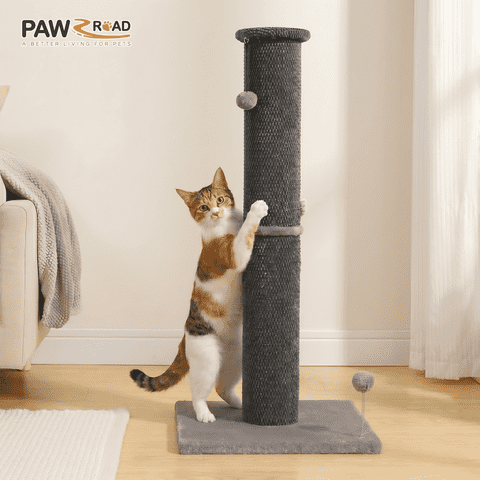PAWZ Road 40" Tall Large Cat Scratching Post - Durable Polyester Fabric, Wide Stable Base, Dark Gray