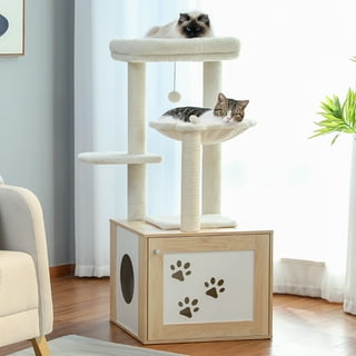 Get Cat Condo - Microsoft Store