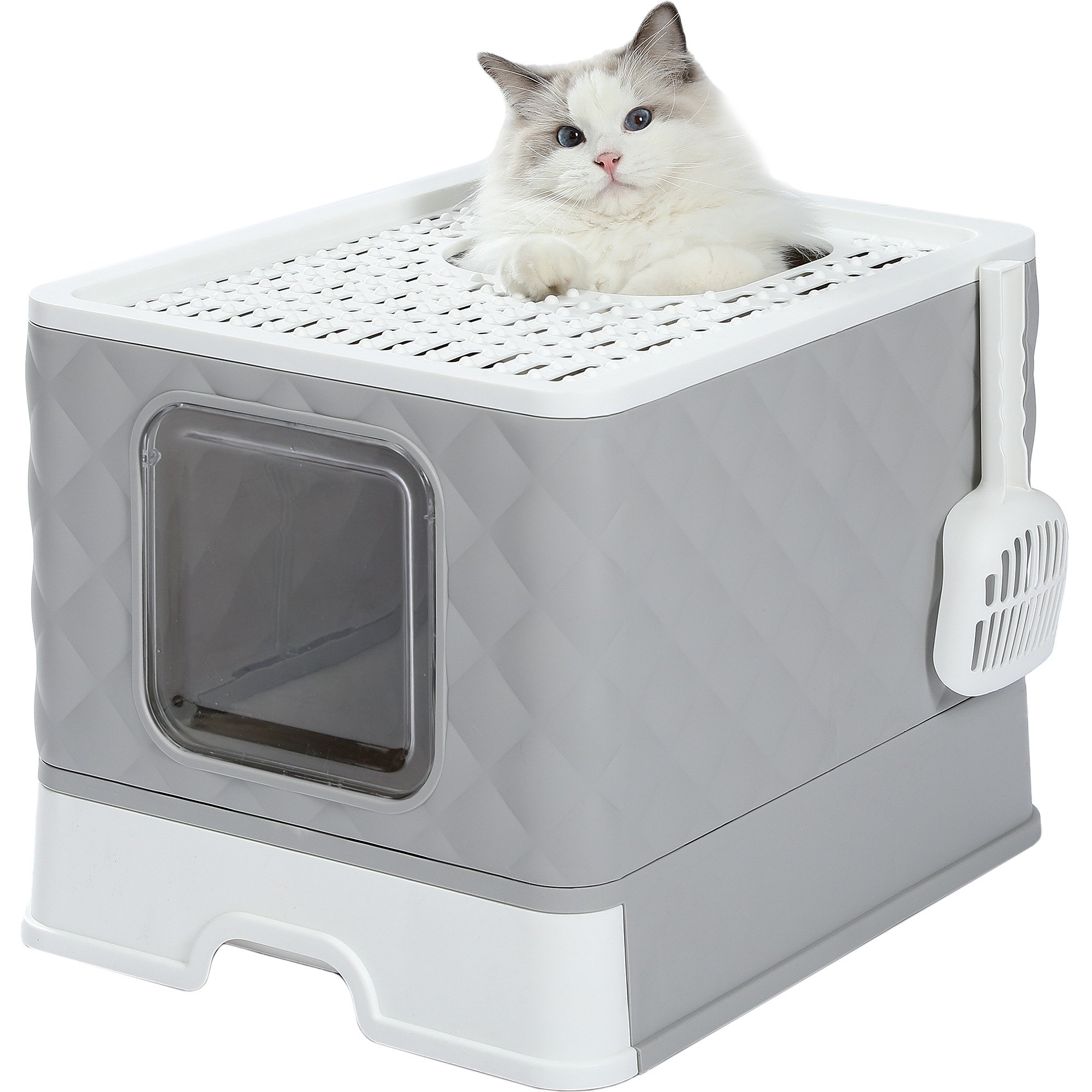 How To Make My Cat Use The Litter Box