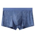 thumbnail image 1 of PBFRDSJ Man's Lace Boxer Briefs Mid Rise Soft Bulge Pouch Trunks Breathable Lightweight Seamless Underpants, 1 of 8