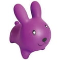 thumbnail image 1 of PBI Junior - Jumping - Rabbit, 1 of 1
