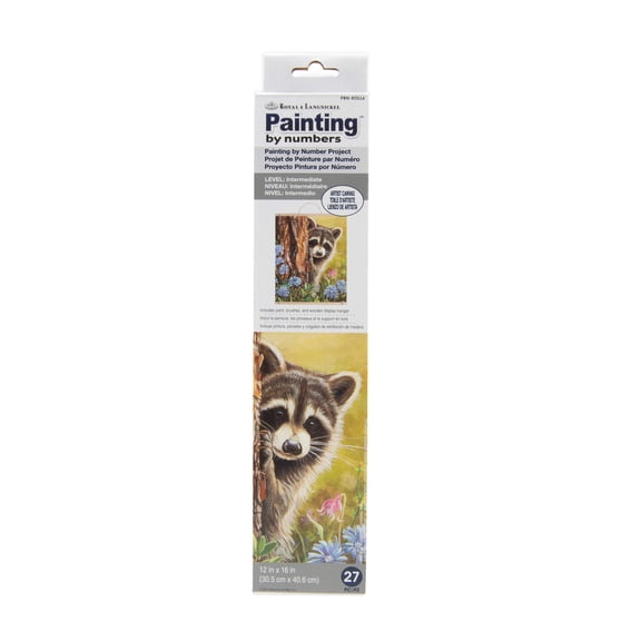 Royal & Langnickel Painting by numbersâ„¢ 27pc 12" x 16" Secret Admirer Canvas