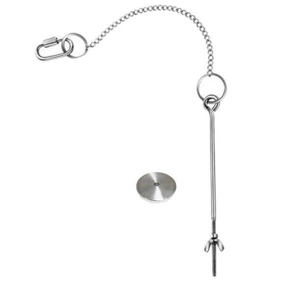 PBPBOX 1 Set Hanging Vegetable Treat Skewer Silver Chicken Feeder 22.0x1.2x1.2in