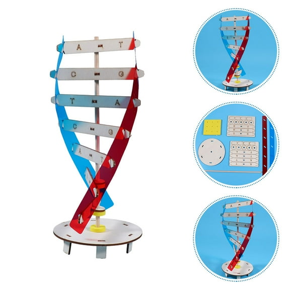PBPBOX 1 Set Molecular Structure DIY Double Helix Model for Science Plaything