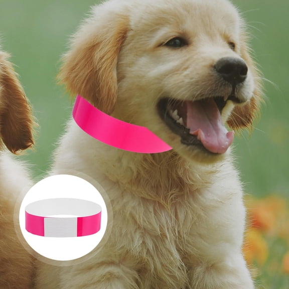 PBPBOX 100Pcs Pet Id Tags for Dogs Comfortable Fit and Durable for Pet Owners