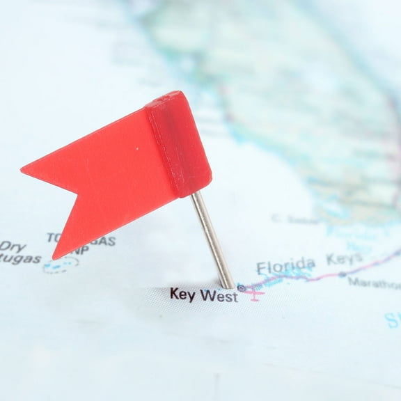 PBPBOX 100Pcs Decorative Push Pins for Bulletin Board Bright Colors ABS Material Home Decoration Use