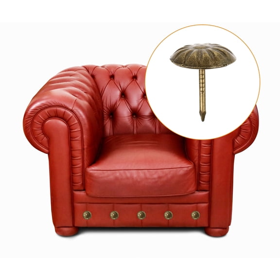 PBPBOX 100Pcs Decorative Upholstery Tacks Iron Vintage Chrysanthemum Pins for Furniture Trim