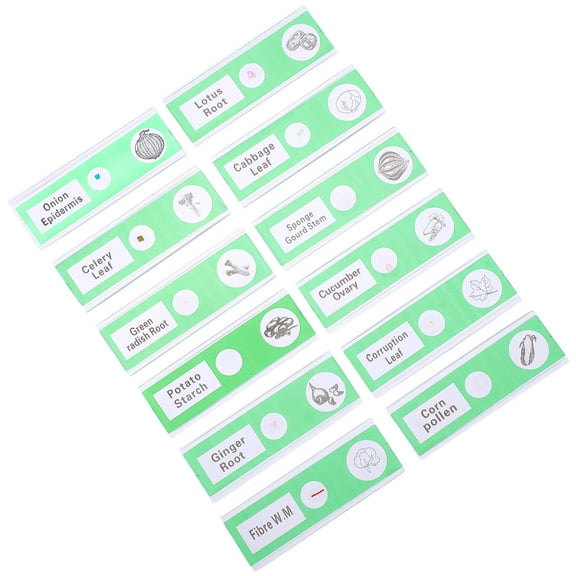 PBPBOX Prepared Microscope Slides Microscope Slide for Kids Green ABS 12Pcs Educational Tool
