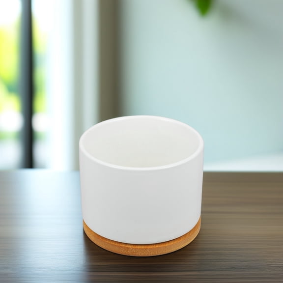 PBPBOX 1Pcs Small Succulent Pot White Round Home 3.5X3.5X2.8In