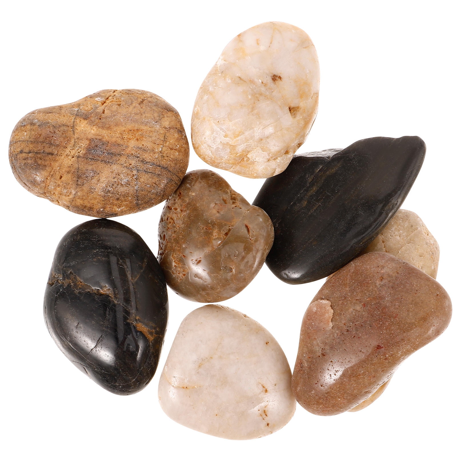 PBPBOX 1Set Fish Tank Rocks Assorted Color Moisture Retention for ...