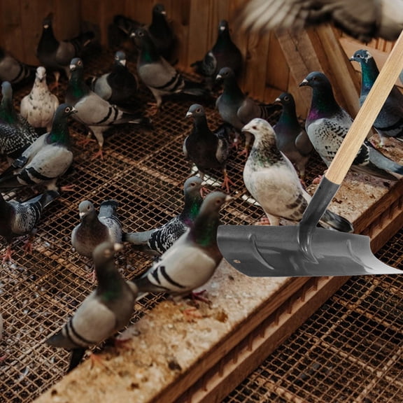 PBPBOX Heavy Duty Metal Farm Cleaning Shovel for Poultry and Livestock Cage Manure Removal