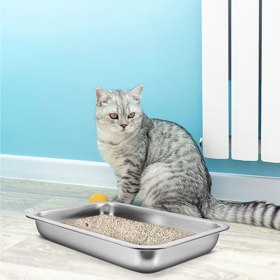 PBPBOX 1Set Open Small Kitten Litter Box Stainless Steel Cat Litter 12.38X8.45X1.77in